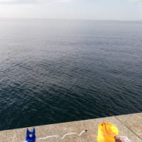 沖堤防🎣