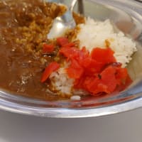 インデアンウソつかない、なカレーどうでしょう