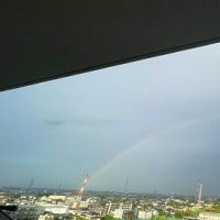 今日の元気　「虹」