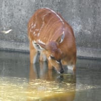 動物園