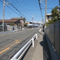 １月の寒川神社：寒川神社境内から参道を歩いてＪＲ相模線宮山駅へ　ＰＡＲＴ２