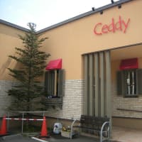 札幌Ceddy