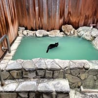 渋峠　春スキー　　天然にごり湯温泉