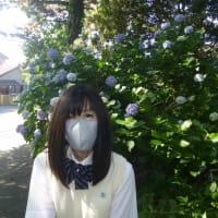 来月からフルテレワーク予定