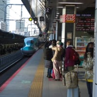 東京駅２０番線ホームを発着する東北新幹線はやぶさ３号　新青森行き