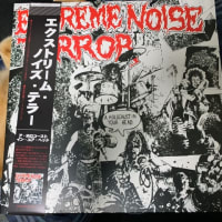 EXTREME NOISE TERROR / A HOLOCAUST IN YOUR HEAD 
