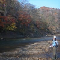 アメマス調査釣行