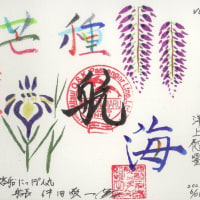 終戦８０年及び事業実施３５周年記念洋上慰霊に参加　１２－１２