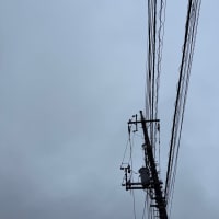 2025/07/14
