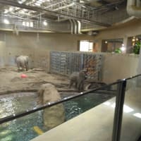 円山動物園