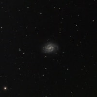 NGC4535 おとめ座 M88(NGC4501) かみのけ座