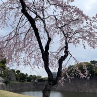 春の乾通りへ