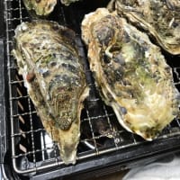 信州たかもり熱中小学校は楽しい！