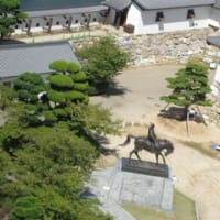 in 今治