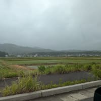 今日も寒くて暖房してます