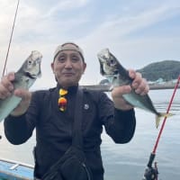 ７月 ２日 (水) 💫黄金アジ爆💥💥トップ㊗️１２５匹❗次１０２匹❗午後㊗️３１匹❗😁✨