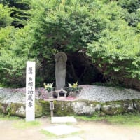 鋸山 日本寺 大仏・日本最大の仏像(座像)