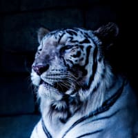 東武動物公園