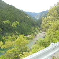  懐かしの関西旅行(27)