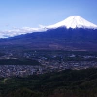 R7.5.3    二十曲峠からの杓子山は苦労したが、クリアな富士とスミレの撮影を楽しんだ