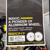 MAVIC アルミ