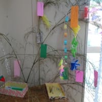 ７月７日（月）七夕