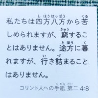 本日もよろしくお願いします