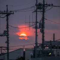 7月4日(金) 暗闇散歩-おぼろ太陽の日の出