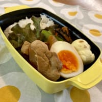 豚大根のカレーしょうゆ煮弁当