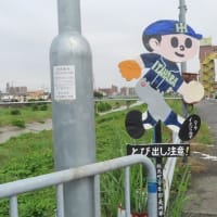 久しぶりに法蔵寺の掲示板を見に行く
