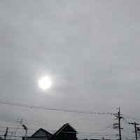 雨予報