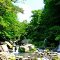 吐竜の滝（7/11）