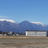いつかの春の日