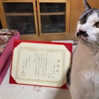 表彰状２
