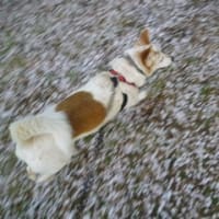 ごぶさたしております。引っ越しました。