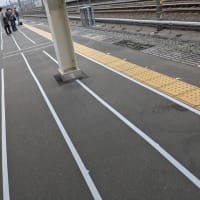 先週のエコパライブの名残り