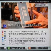 雨の日のハス　期待ほど降らず　2025/07/10（鹿児島）
