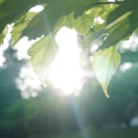 オリジナル曲「天来」誕生の由来