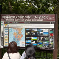 三島、柿田川公園に行った
