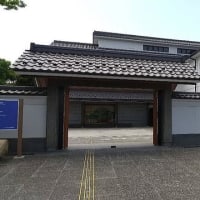 郷土博物館のミーコ