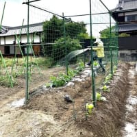  5月27日(火)②