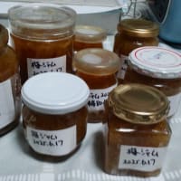 出来立て梅ジャムを入れたら溶けた〜（泣）