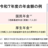 年金からの天引き・税金・保険？