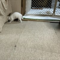 リビング解放