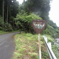 奥武蔵・ツツジ山　1