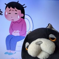 私はコレで便秘が治りました。