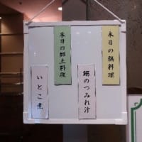 愛と青春の旅立ち－高山本線と万葉線の旅１３．