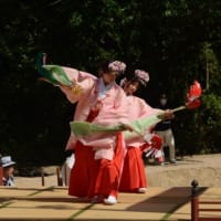 舞い踊る住吉神社の御田植祭　2024-05-19