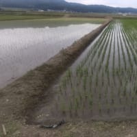 ブログ引っ越し作業中