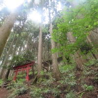 榛ノ木尾山（イソツネ山撤退）